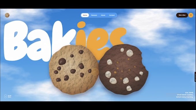 design and develop a landing page or business website with branding