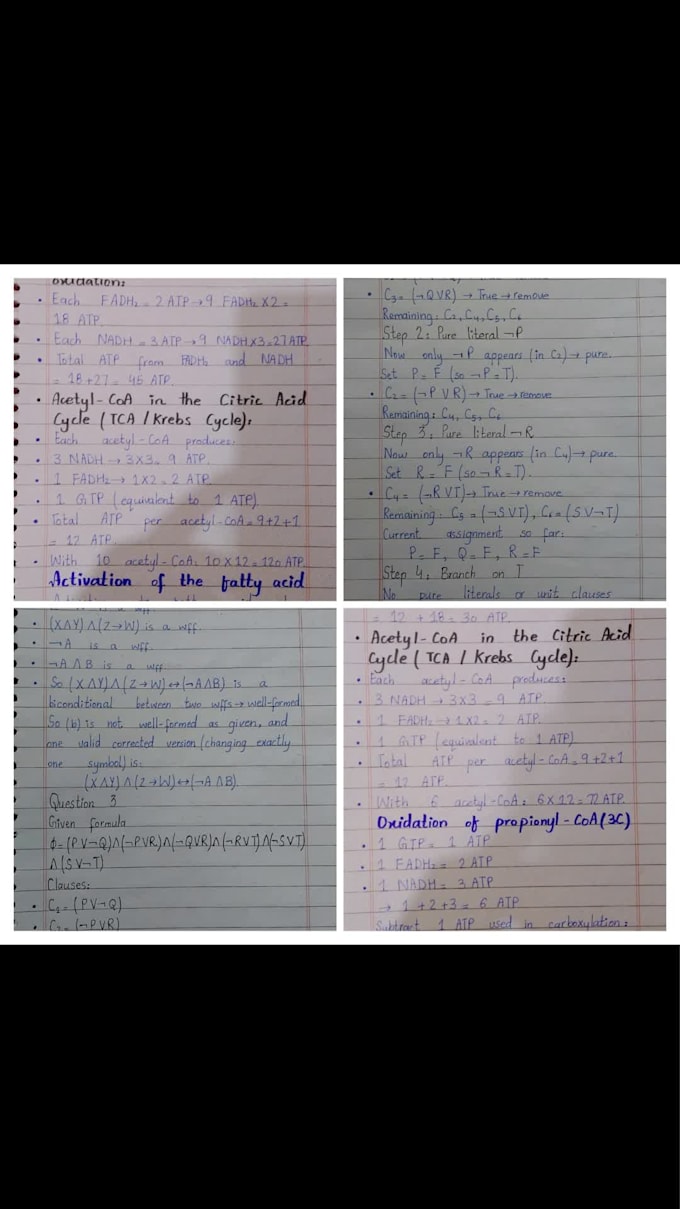 write handwritten notes and assignments