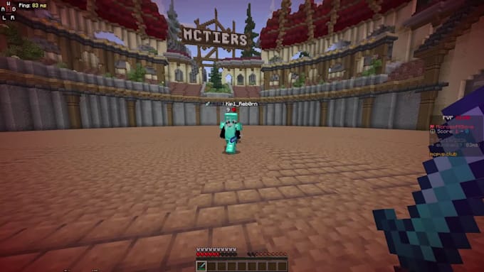 coach you in minecraft pvp lt4