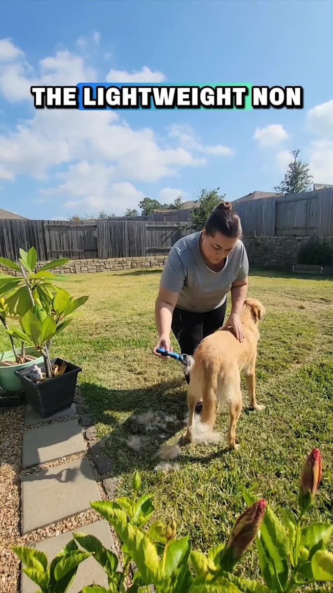 create engaging dog ugc video ads for your brand