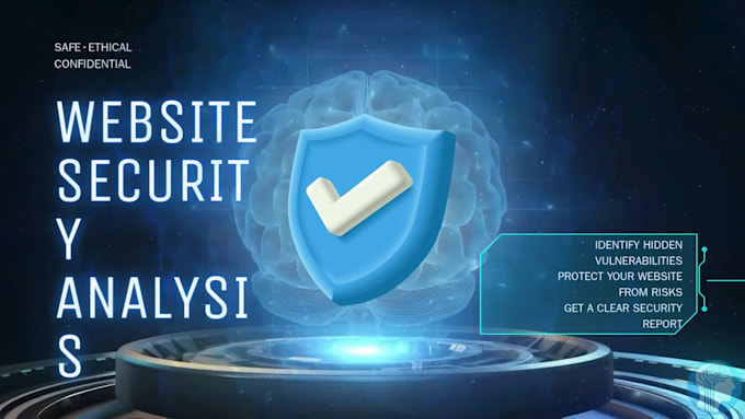 perform website security assessment and vulnerability analysis identifying risks