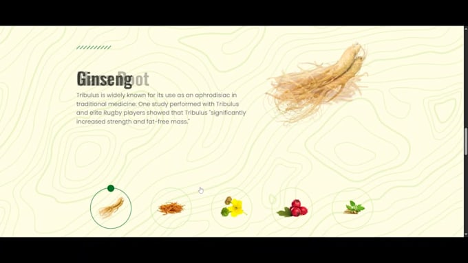 wordpress landing page design or elementor landing page