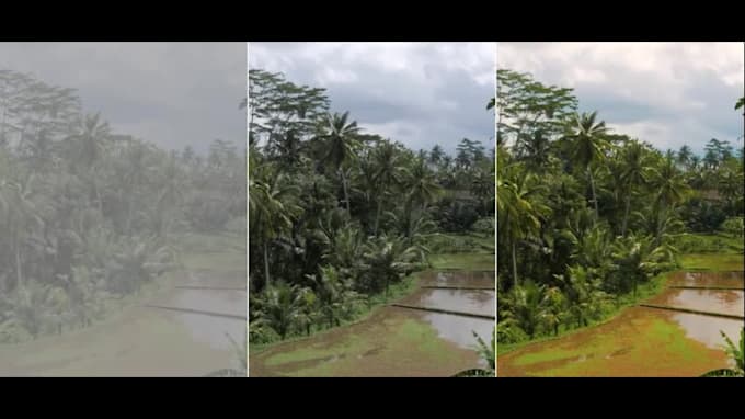 do professional video color correction and color grading