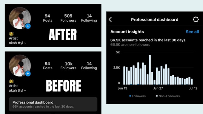 remove instagram fake and ghost followers