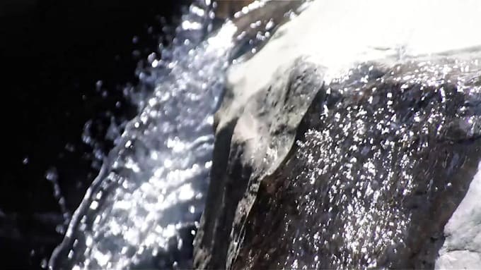 edit for you an amazing visual video