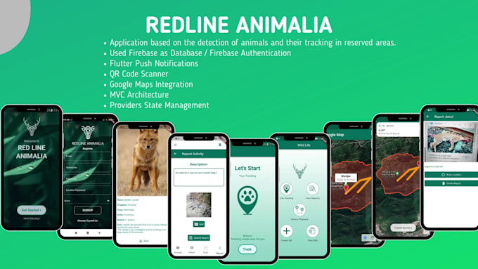 be your hybrid app developer using react native and flutter