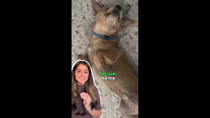 create relatable ugc videos for your social media