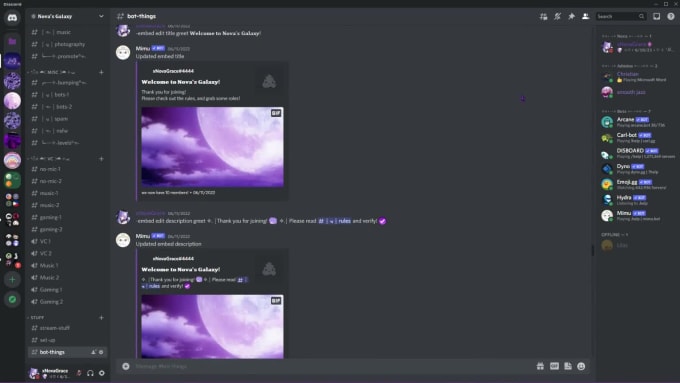 Setup and decorate your discord server by Nova_grace | Fiverr