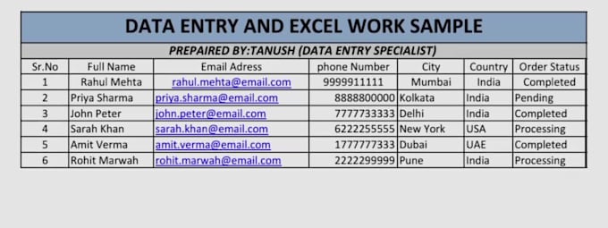 do copy past data entry and excel work for you