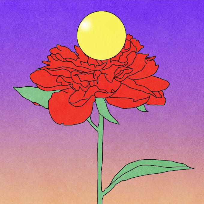 Create 3d plant animation, 3d flower animation, 3d cgi product ...