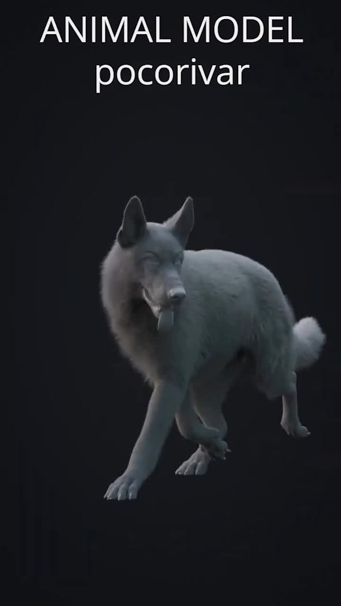 Do 3d animal animation ,3d model animal or character animation by