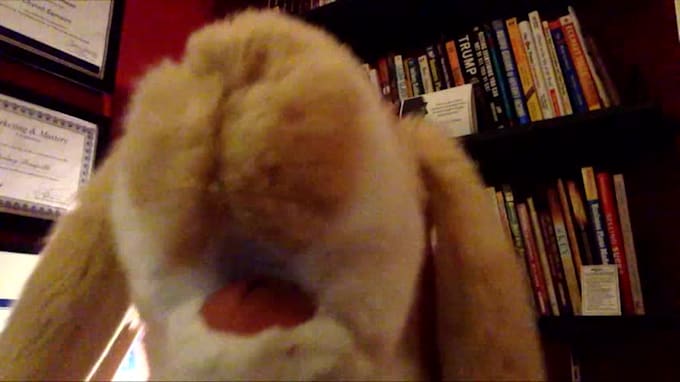 sing happy birthday with my rabbit puppet