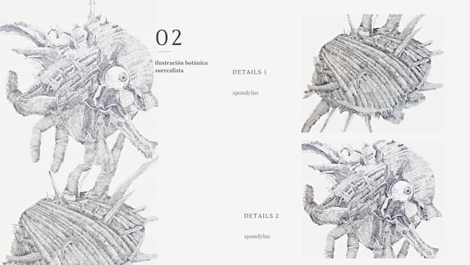 draw botanical and anatomical scientific illustrations