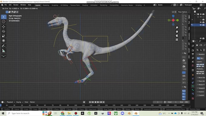 do professional 3d rigging in blender