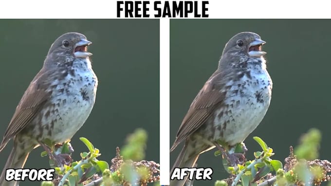 enhance, upscale, and boost fps of your videos