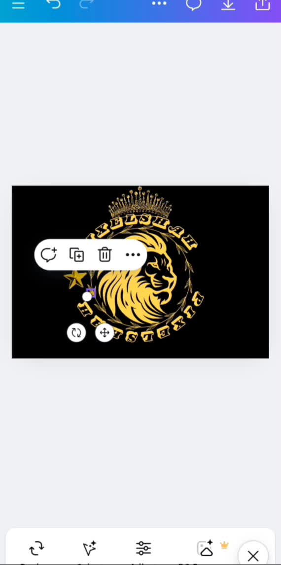 design a premium golden royal emblem logo lion and laxur