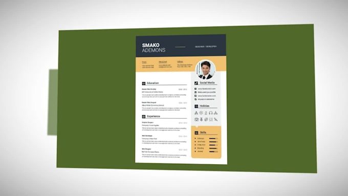 write professional resume for you