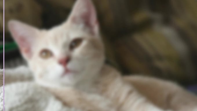 upscale low quality images or photos
