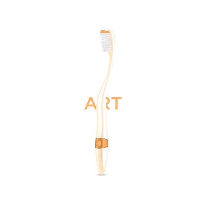 provide product illustration and vectorization