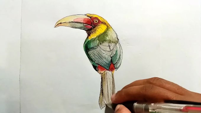 watercolor style pet birds and animals hand drawing