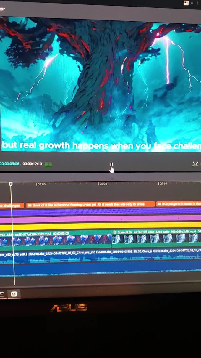 provide voiceovers and captioning edits for videos