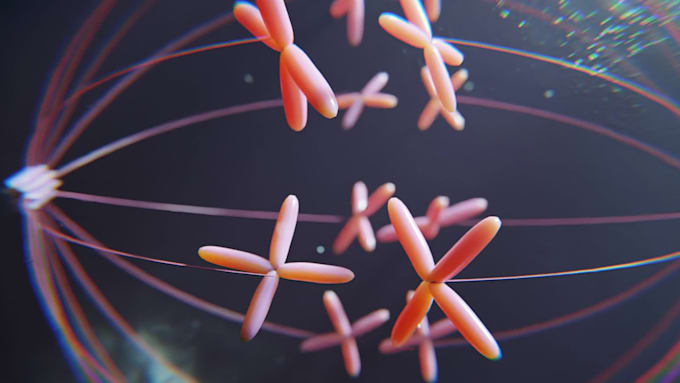 make high quality 3d medical animation