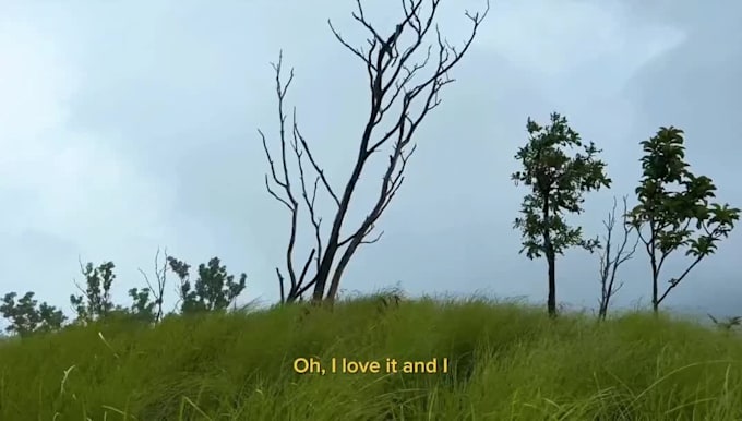 make a cinematic video
