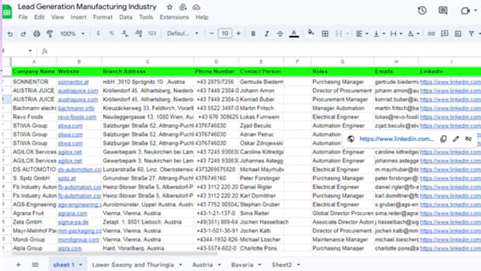 do lead genration linkedin and data entry for any industry