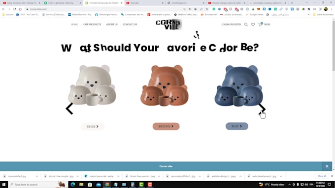 create a simple website for company