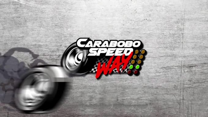 make a professional logo animation for you