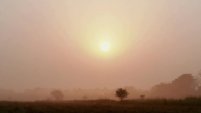 create relaxing , calm  and nature sounds video