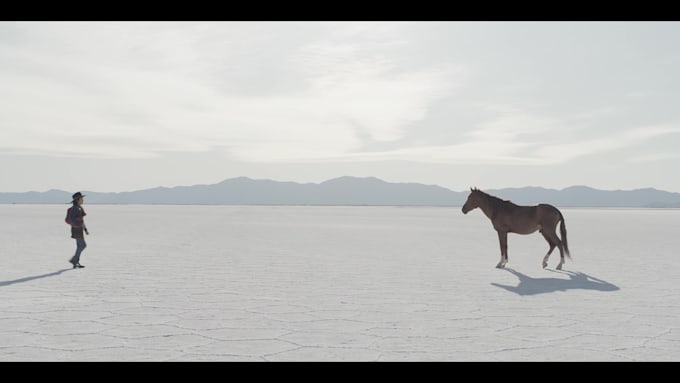 professionally color grade your videos