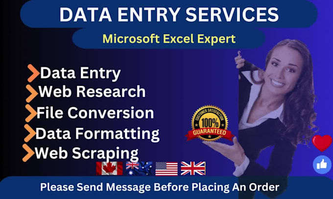 do professional excel data entry, copy paste, typing job in low price