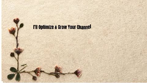 youtube SEO service for your yt channel videos
