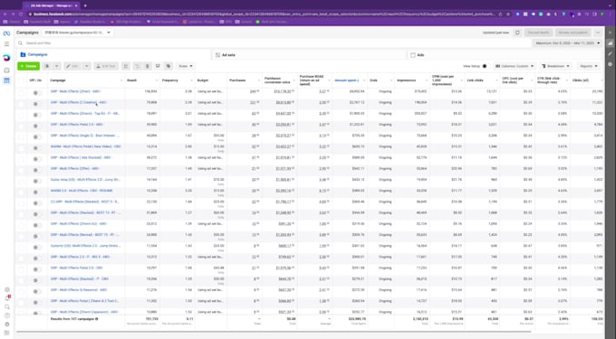 be your expert 1 on 1 facebook and instagram ads advisor