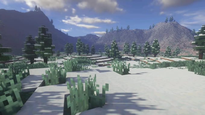 make an incredible custom minecraft world for you