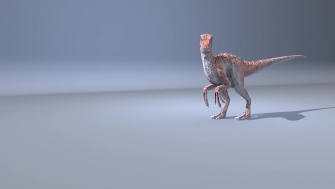 make animation of all kind