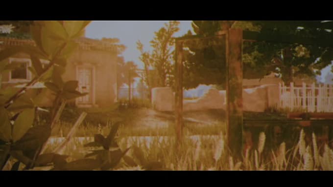 provide professional video editing for content creators and gamers