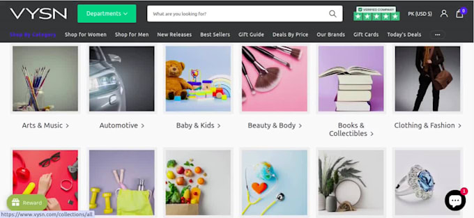 make professional shopify or any ecommerce online store