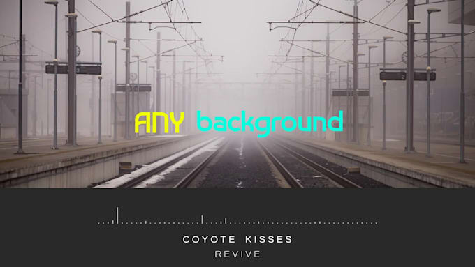 create a professional visualization video for your song