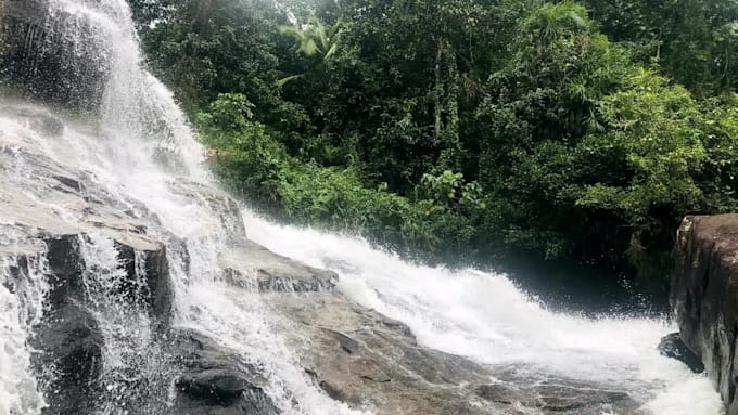 send natural place video and images