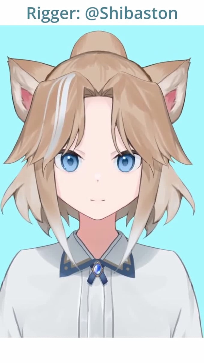draw and rig live 2d model 2d anime 2d rigging vtuber model in vtube studio