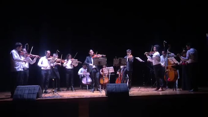 do violin lessons for you