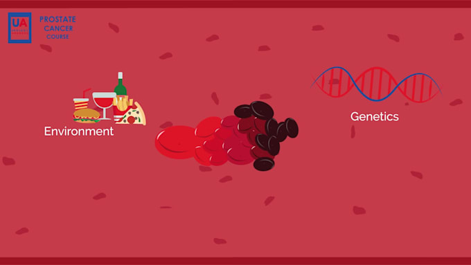 create 2d animation explainer video for youtube