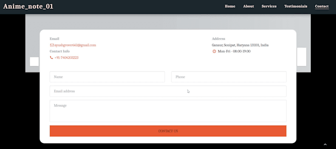 build a clean and professional website