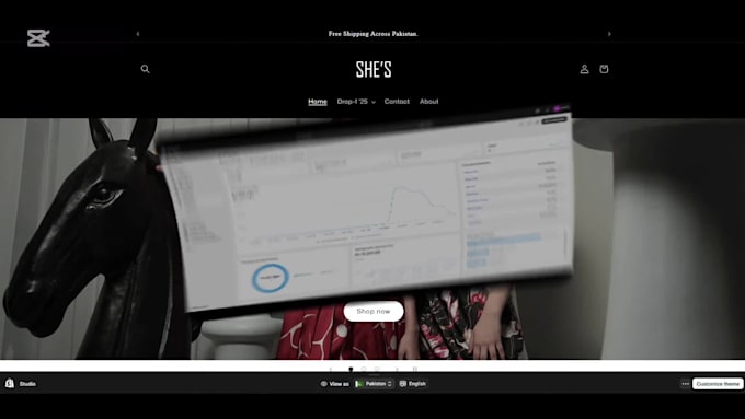 setup your dropshipping store from scratch using cjdropshipping