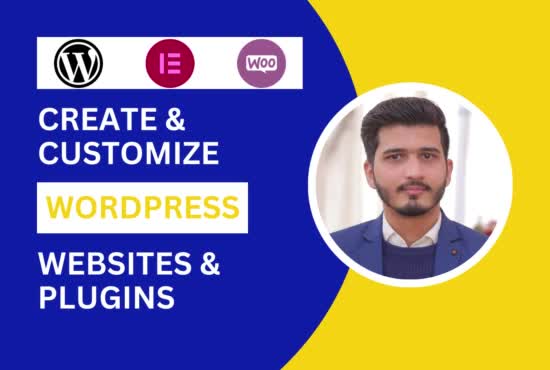 create, and customize wordpress websites and plugins