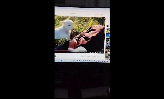 manually watch and review your youtube videos