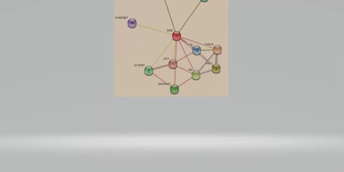 provide bioinformatics and data analysis services