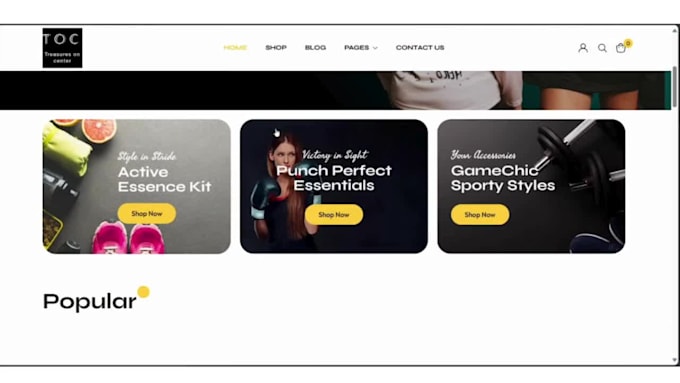 create a stunning and functional wordpress website